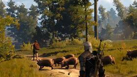 愚人金爆料视频,视频爆料背后的惊人真相