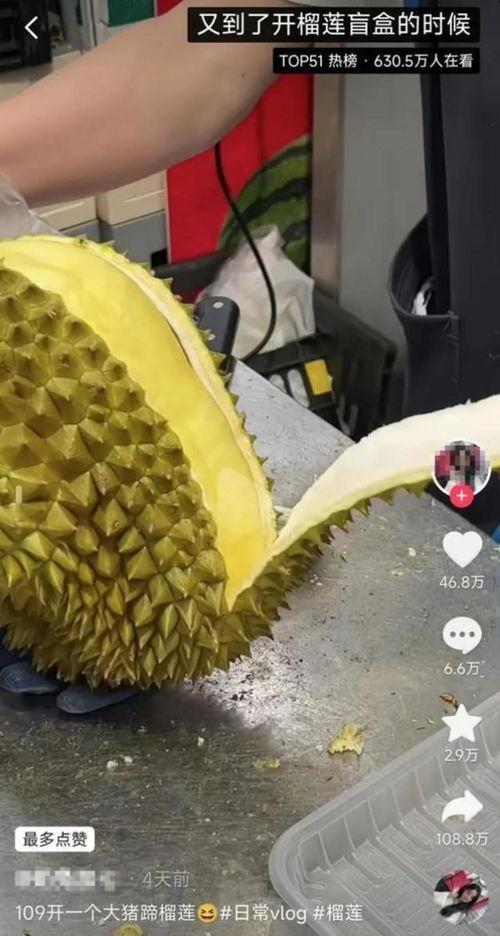榴莲爆料视频大全,揭秘网红美食背后的故事